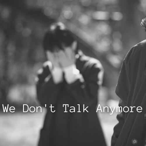 We Don't Talk Anymore